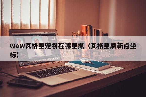 wow瓦格里宠物在哪里抓（瓦格里刷新点坐标）